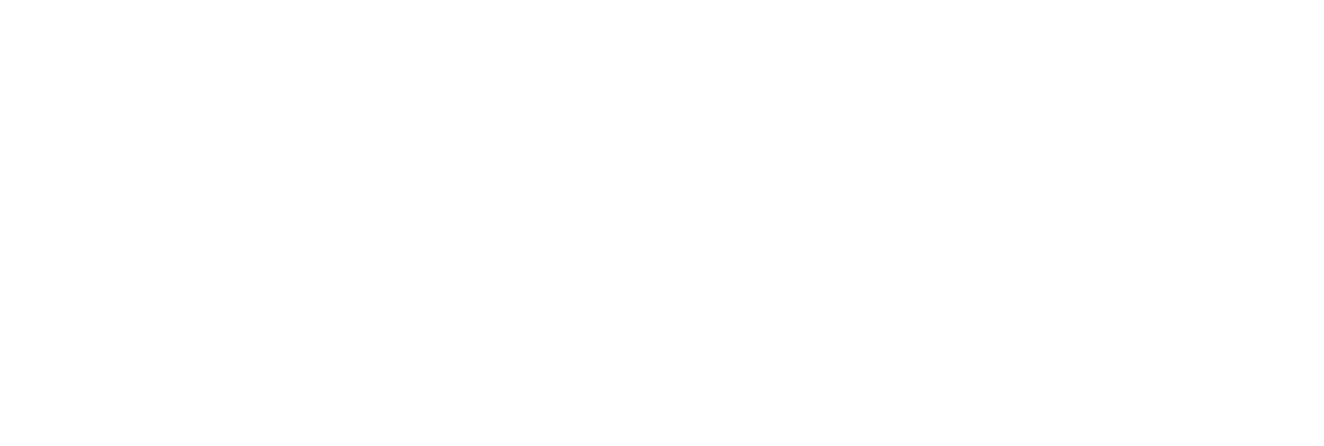 Pathfindr logo weiss